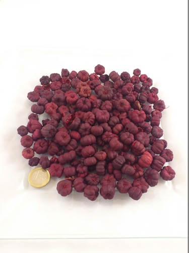Putkha pods 250 gr. red